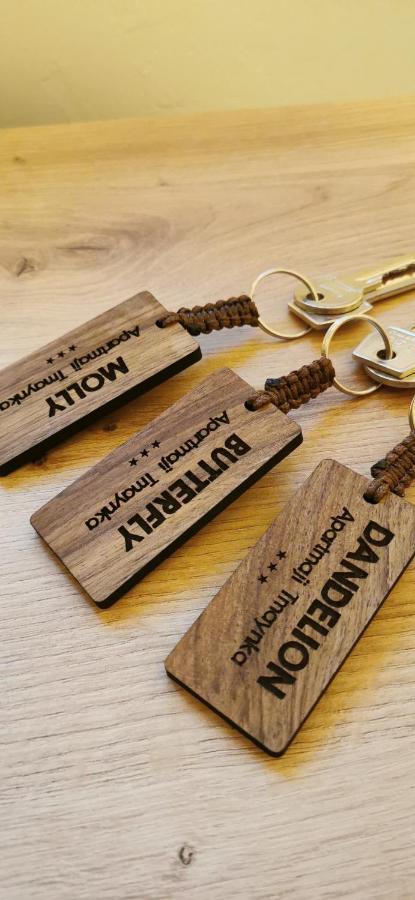 Apartmaji Tmaynka Tolmin Luaran gambar