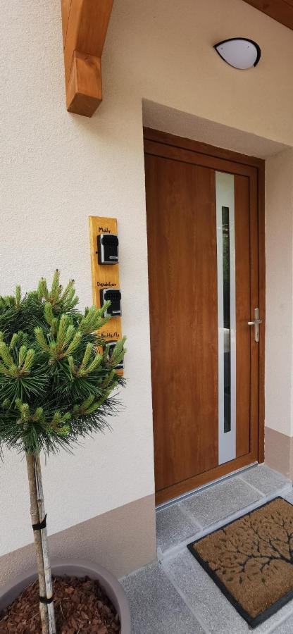 Apartmaji Tmaynka Tolmin Luaran gambar